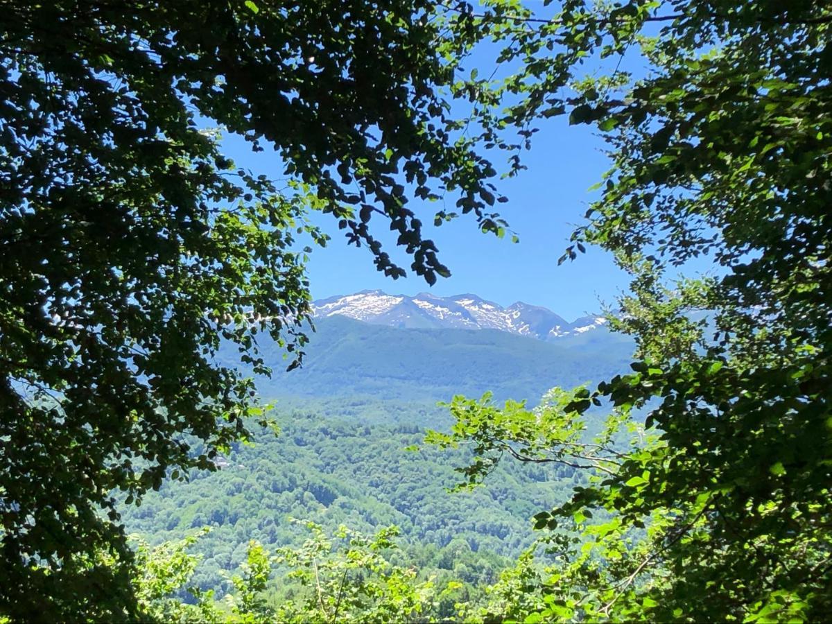 Fenetre Sur Les Pyrenees Hotel Soulan  Екстериор снимка