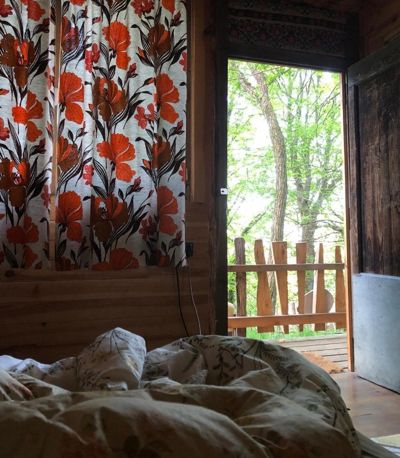Fenetre Sur Les Pyrenees Hotel Soulan  Екстериор снимка